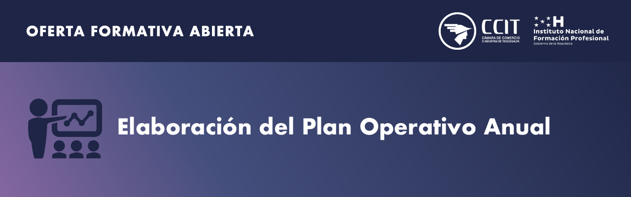 Elaboración del Plan Operativo Anual (POA)